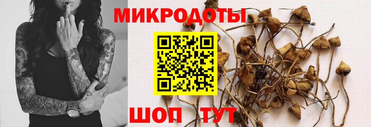 Псилоцибиновые грибы прущие грибы  Галлюциногенные грибы прущие грибы  Вход с VPN  Камышин 